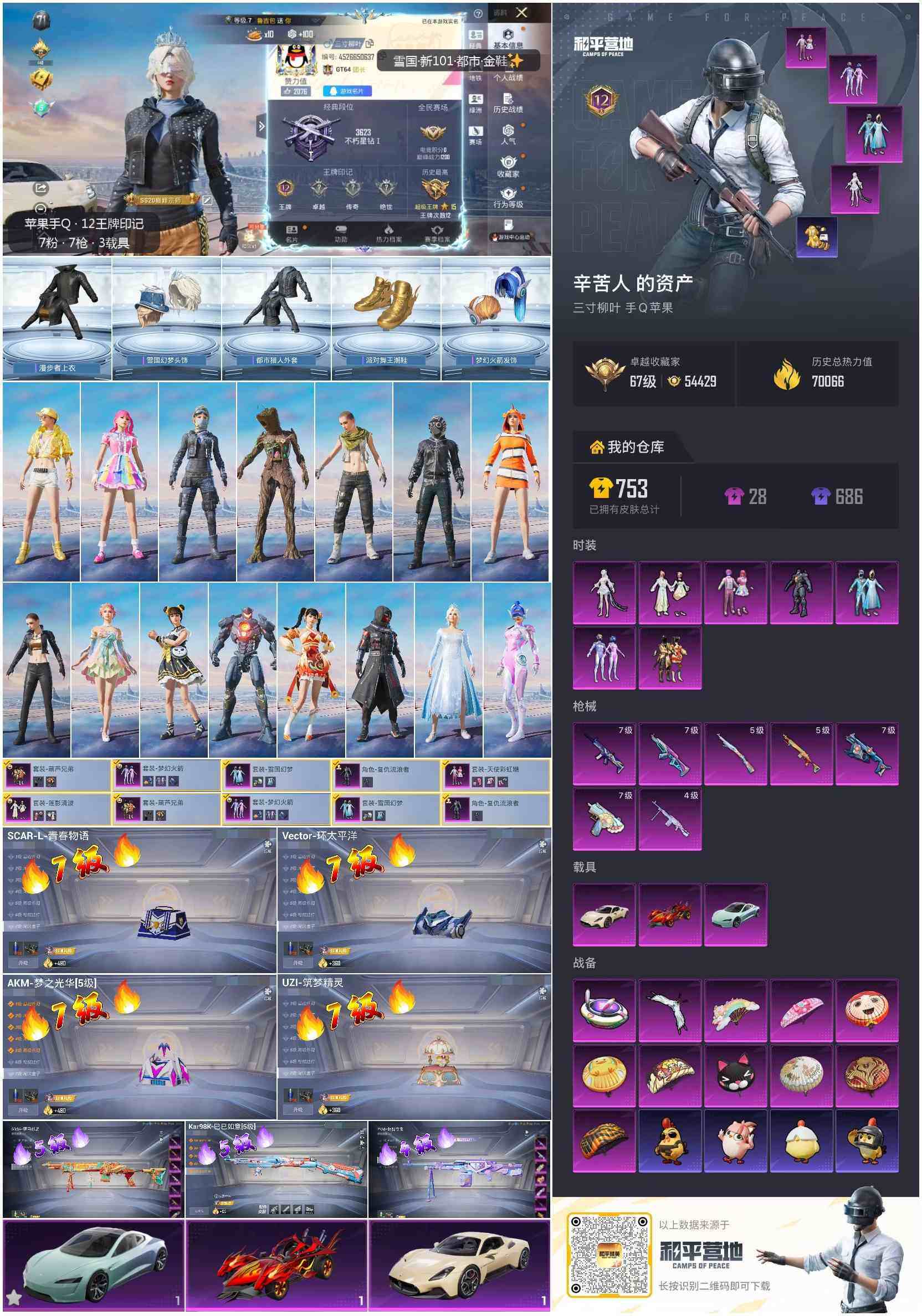 HPCMW4196766和平精英账号详情图6