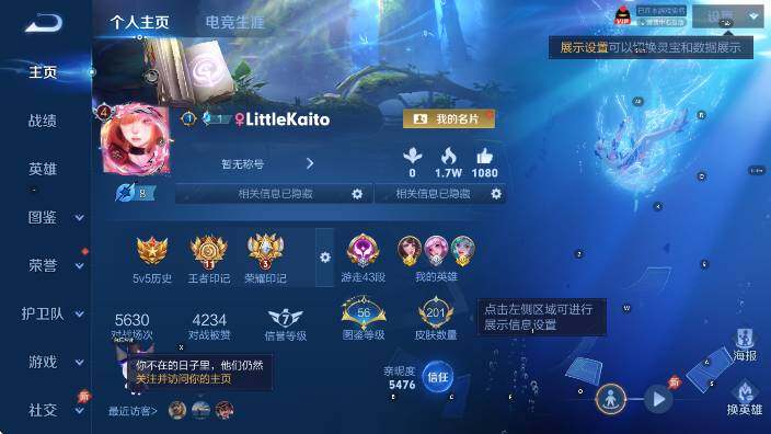 WZLX4310352王者荣耀账号详情图9