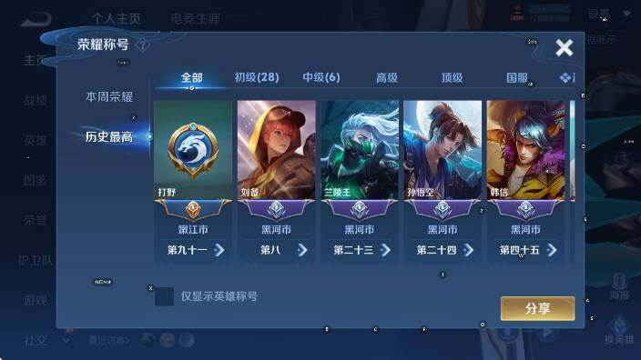 WZLX4310380王者荣耀账号详情图12