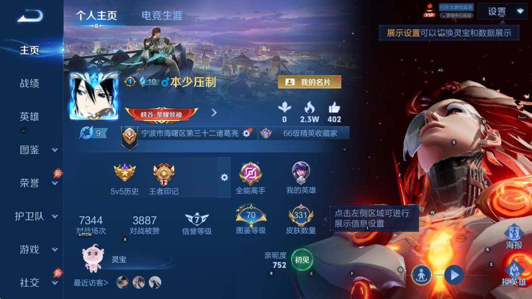 WZLX4310768王者荣耀账号详情图13