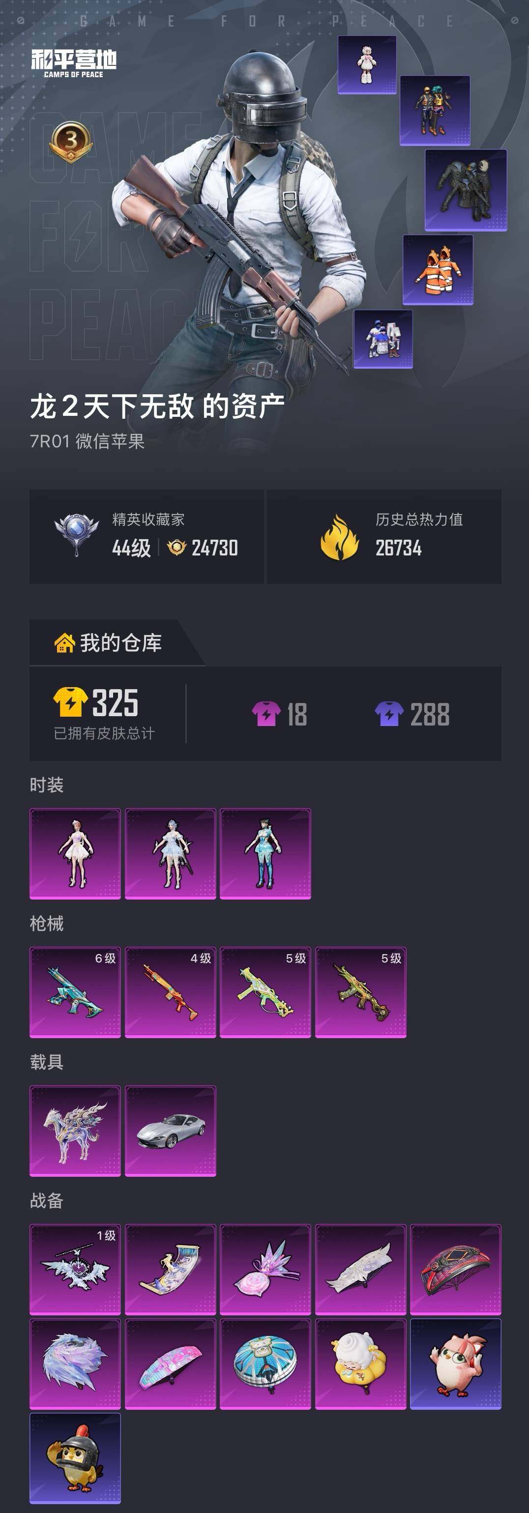 HPQM4176580和平精英账号详情图5 HPQM4176580和平精英账号详情图5