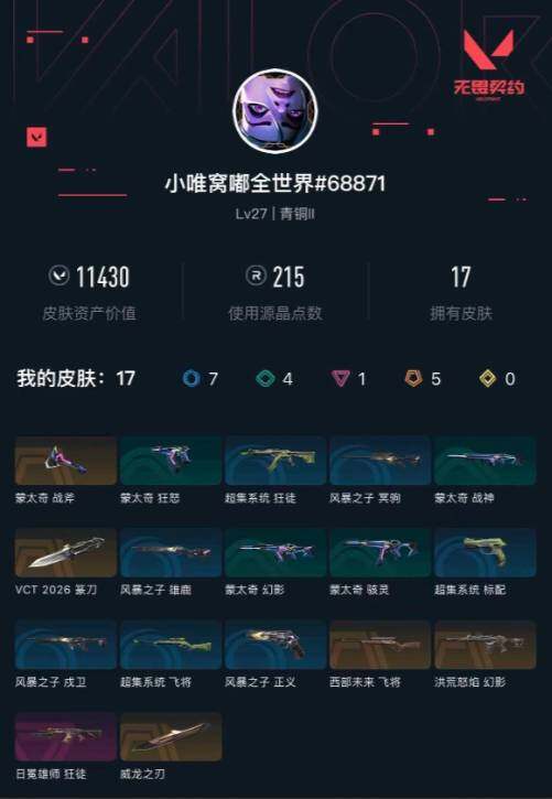 WWQXL432020无畏契约账号详情图3