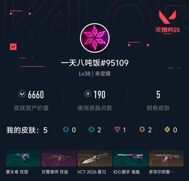 WWQXL432439无畏契约账号详情图3