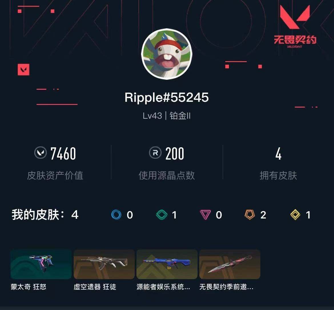 WWQXL432529无畏契约账号详情图3