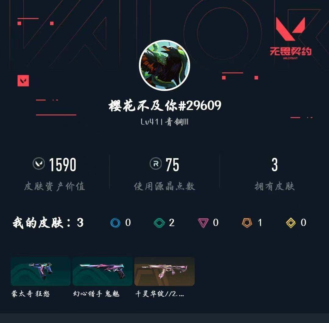 WWQXL432537无畏契约账号详情图3