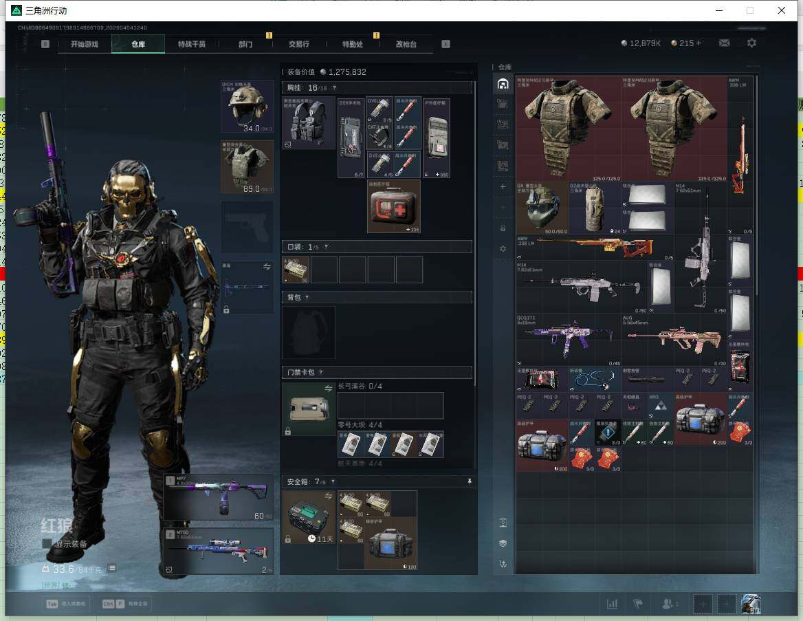 SJZQM4109569三角洲行动账号详情图11