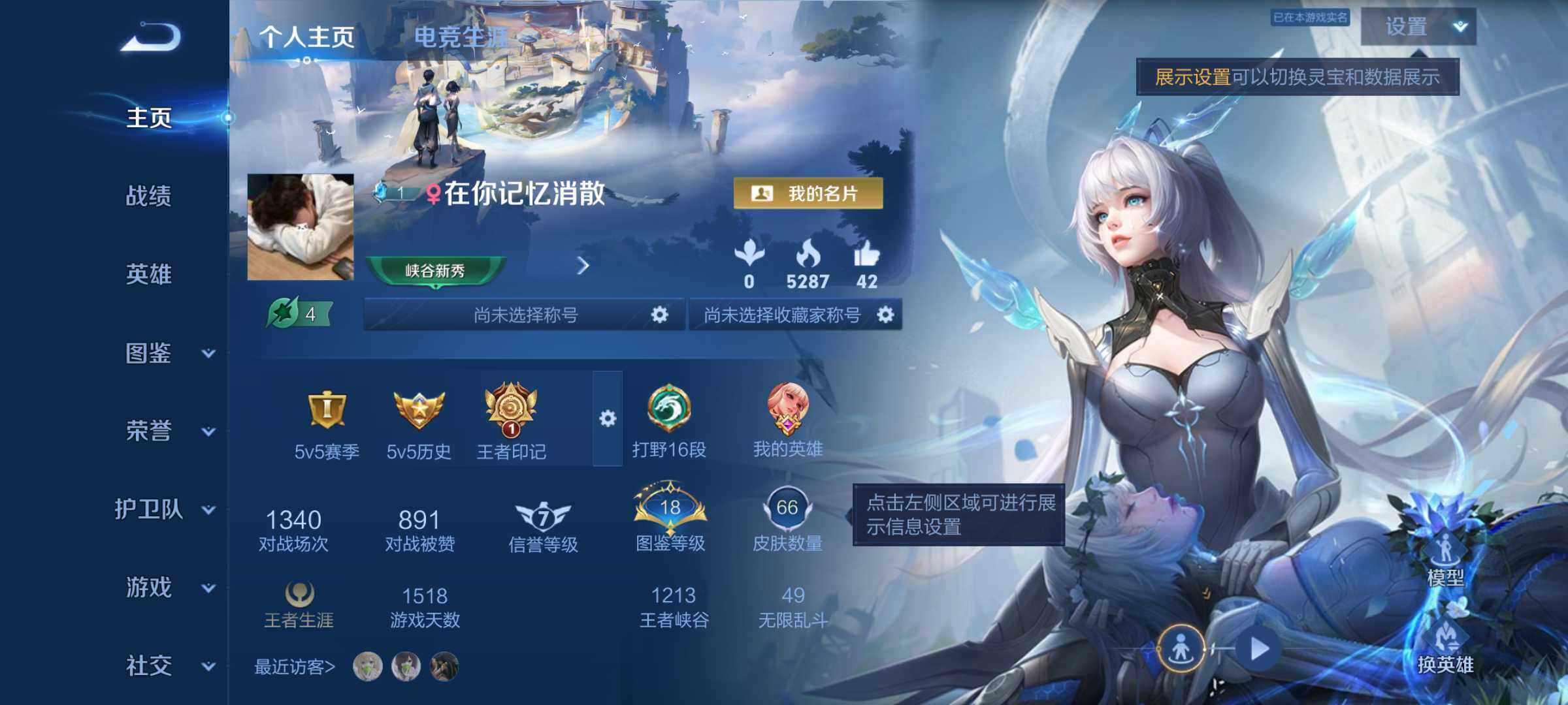 WZJM4317230王者荣耀账号详情图9