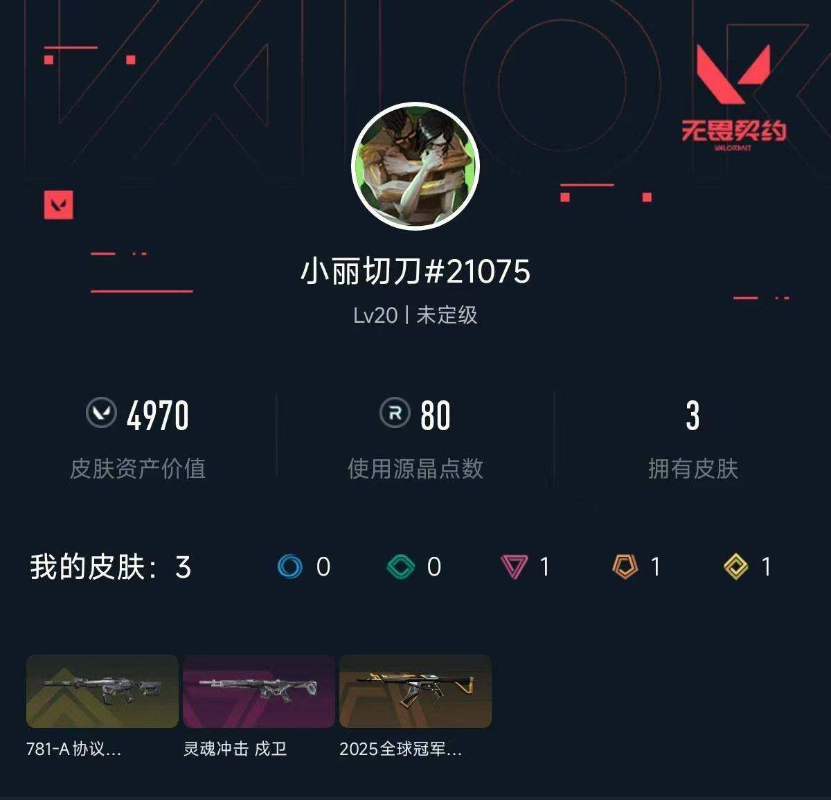 WWQXL432966无畏契约账号详情图3