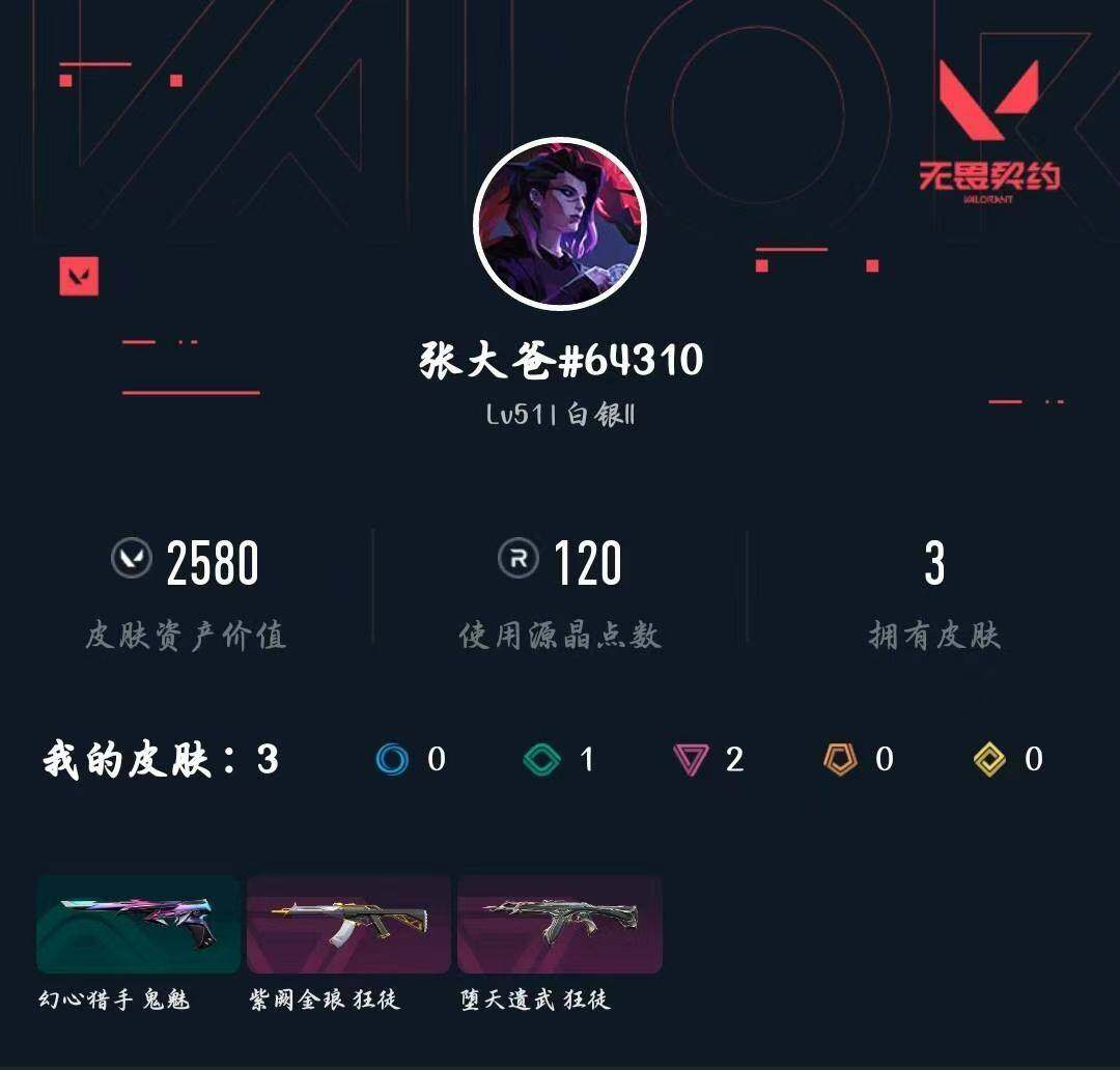 WWQXL433246无畏契约账号详情图3