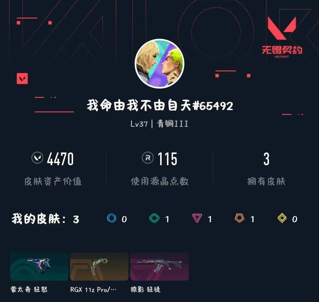 WWQXL433255无畏契约账号详情图3