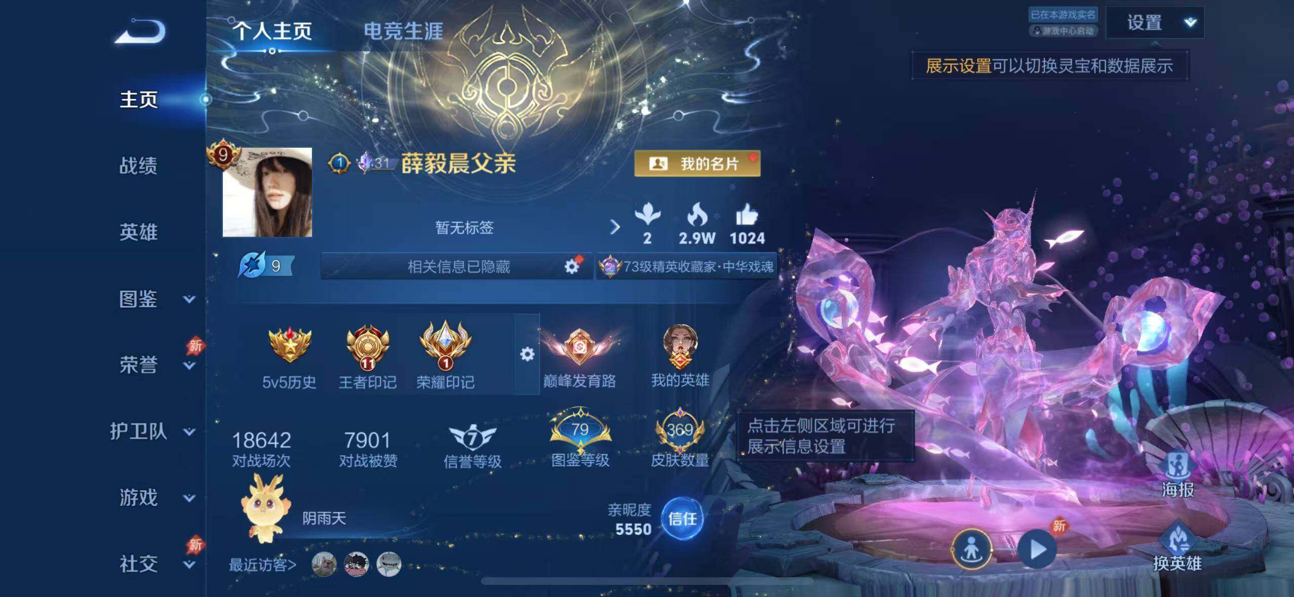 WZLX4318824王者荣耀账号详情图8