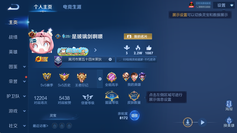 WZLX4318943王者荣耀账号详情图9