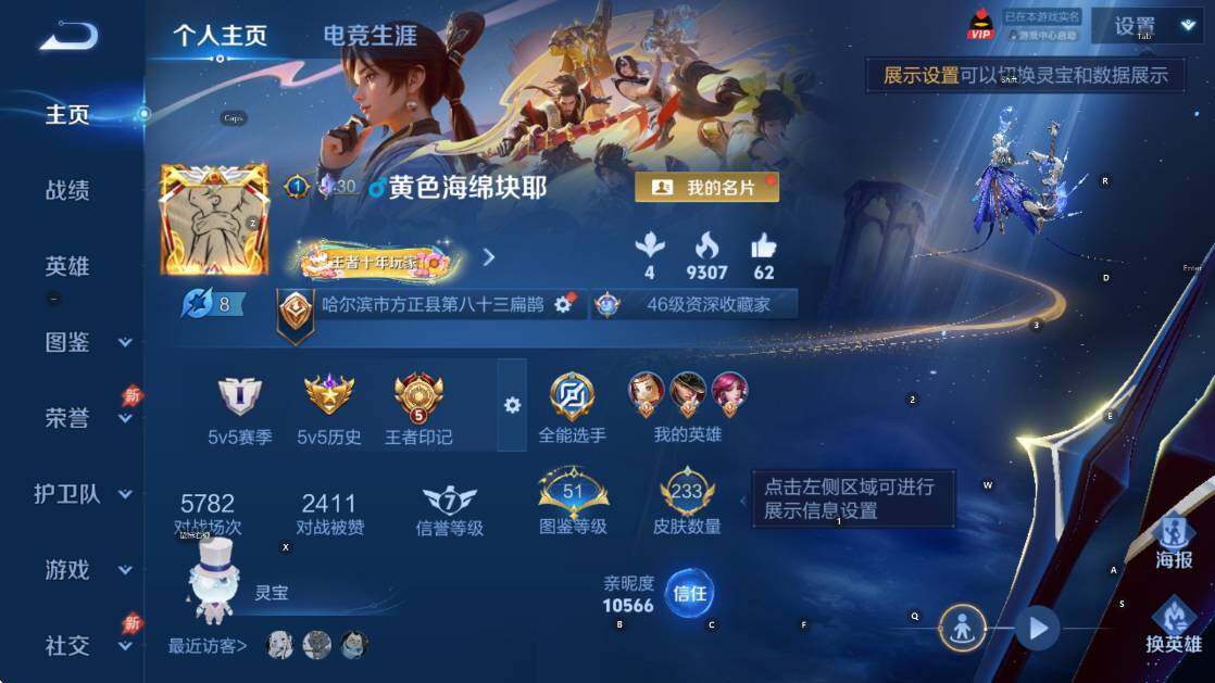 WZLX4319481王者荣耀账号详情图11