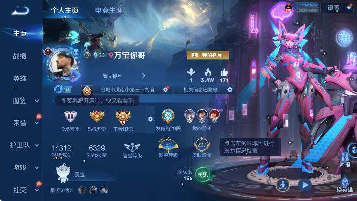 WZLX4320193王者荣耀账号详情图7