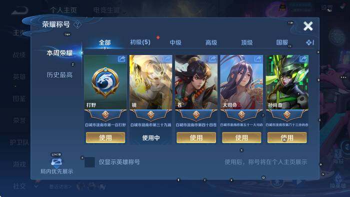 WZLX4320193王者荣耀账号详情图8