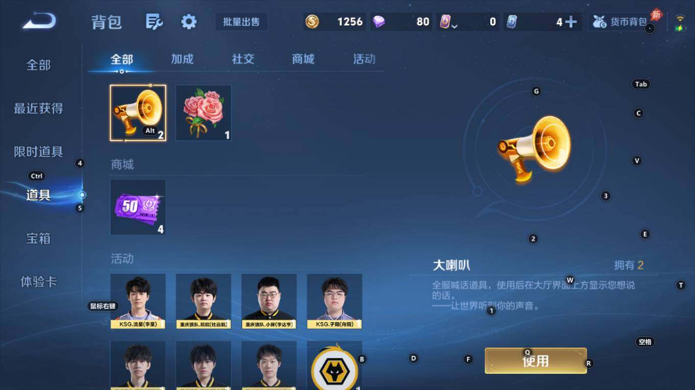 WZQM4323273王者荣耀账号详情图14