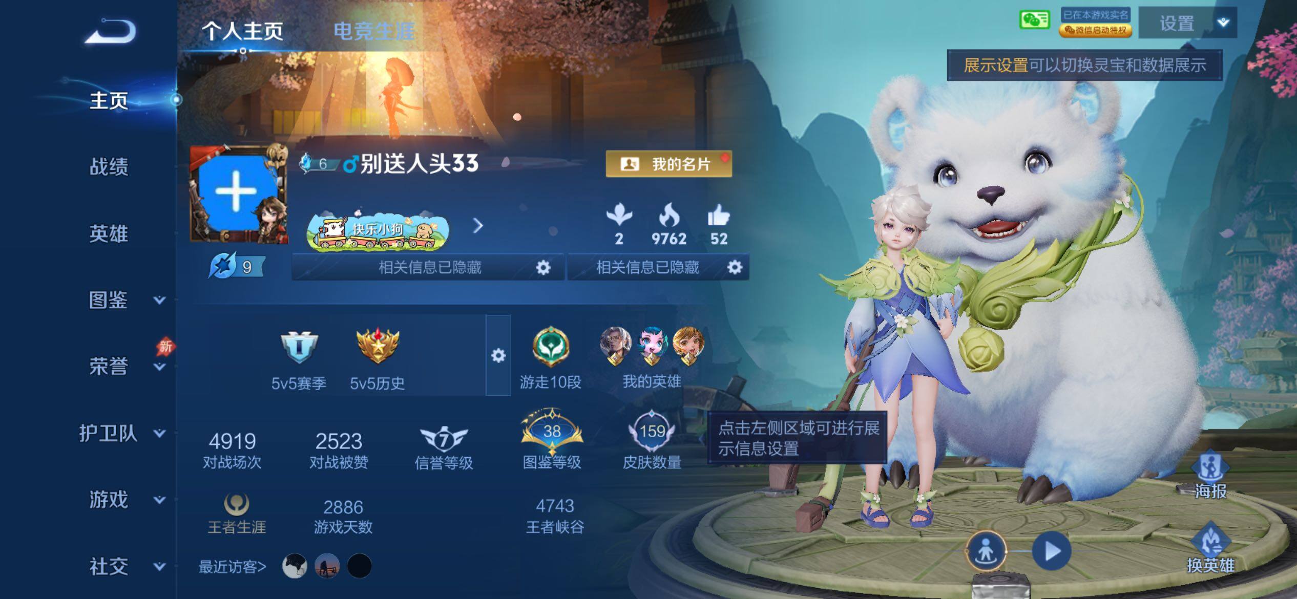 WZLX4327311王者荣耀账号详情图14