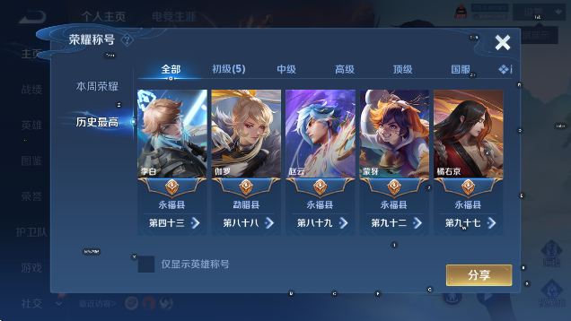 WZLX4325024王者荣耀账号详情图10