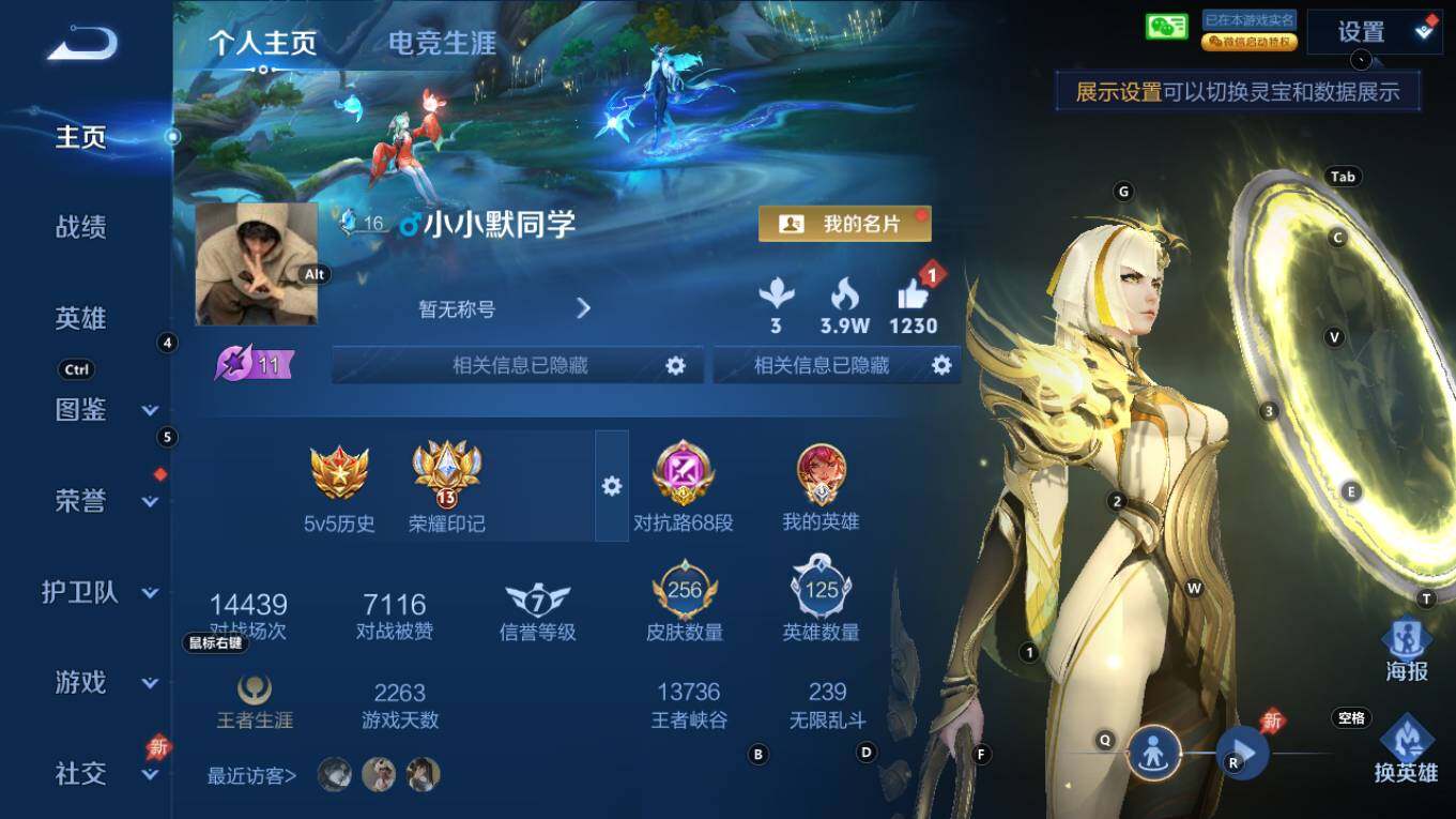 WZQM4333517王者荣耀账号详情图3