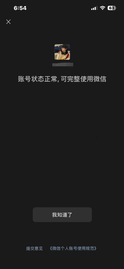 WZLX4333283王者荣耀账号详情图13