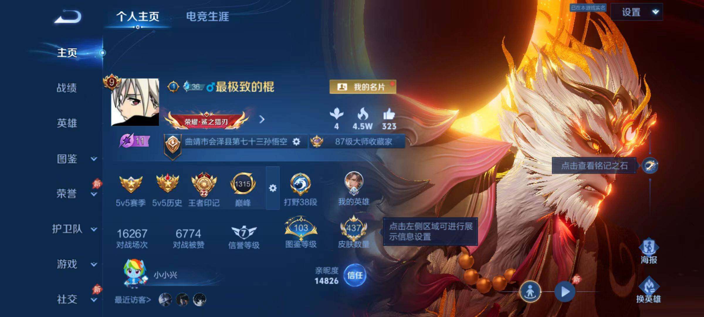 WZLX4329768王者荣耀账号详情图9