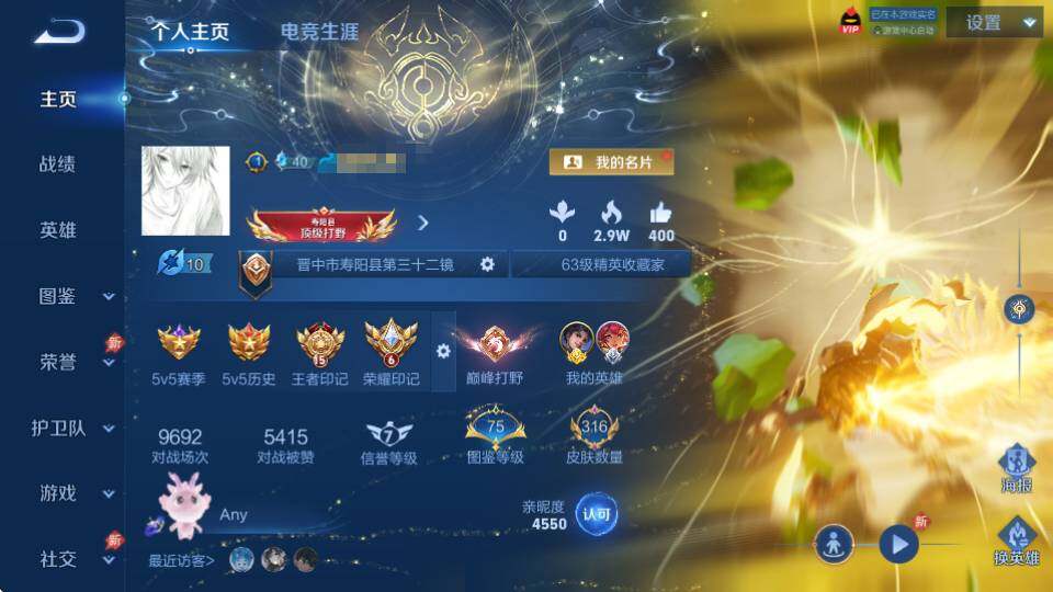 WZQM4335180王者荣耀账号详情图8