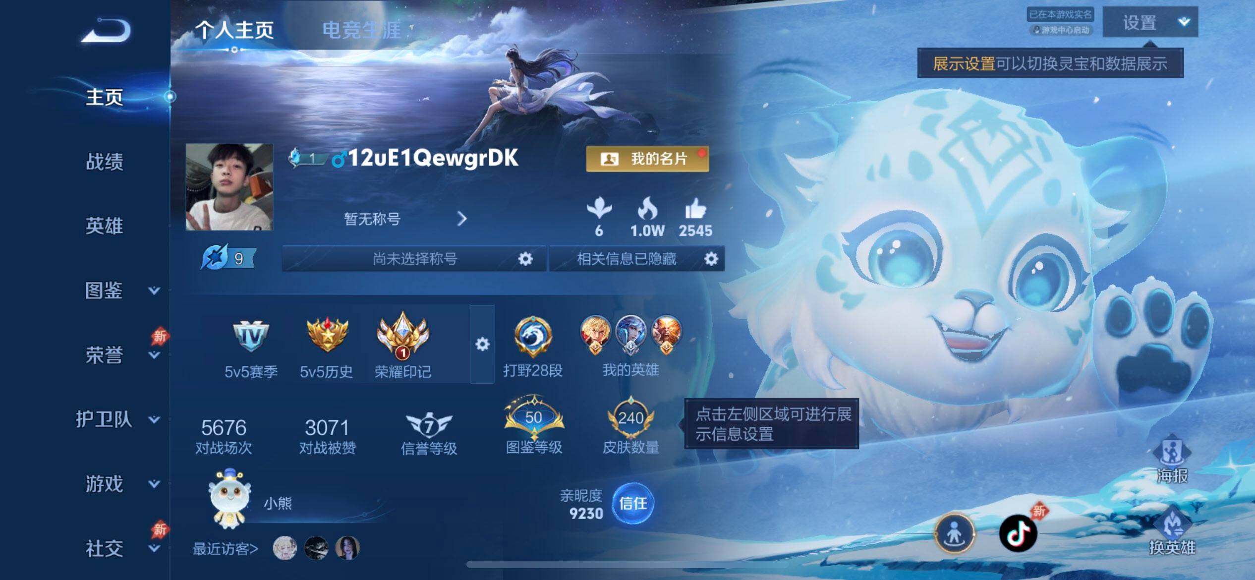 WZLX4335665王者荣耀账号详情图2