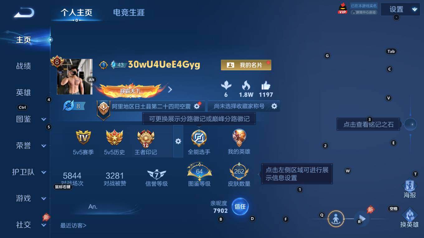 WZQM4333589王者荣耀账号详情图3