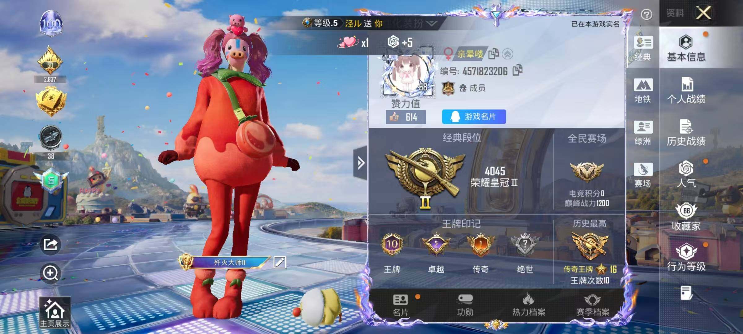 HPEY4192365和平精英账号详情图5