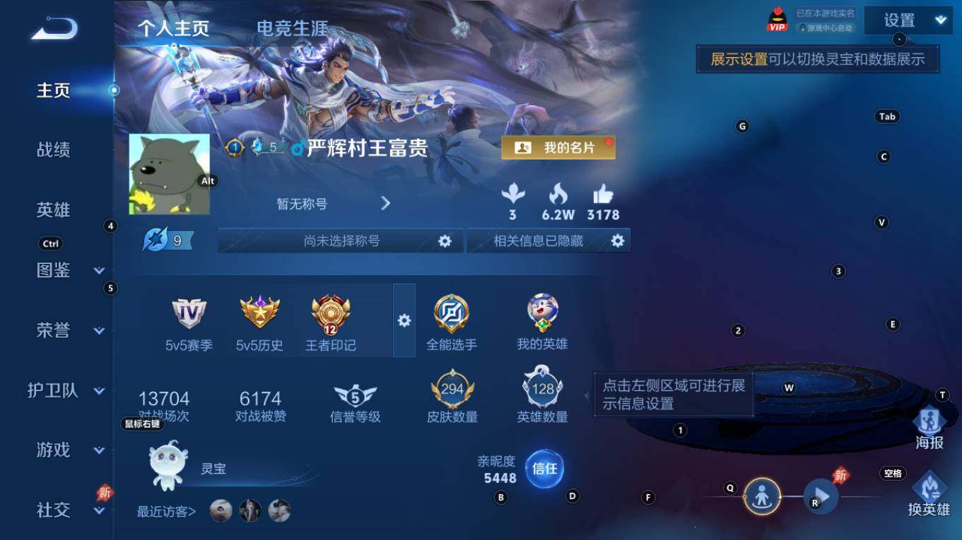 WZQM4335233王者荣耀账号详情图9