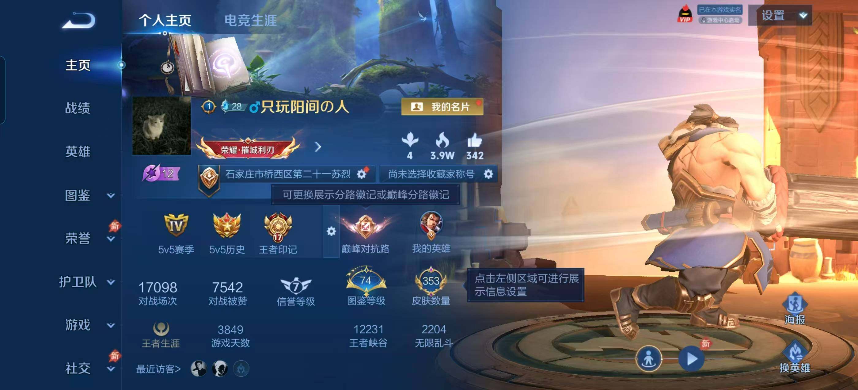 WZLX4340266王者荣耀账号详情图9