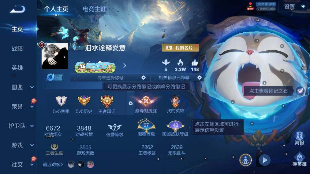 WZLX4335715王者荣耀账号详情图11