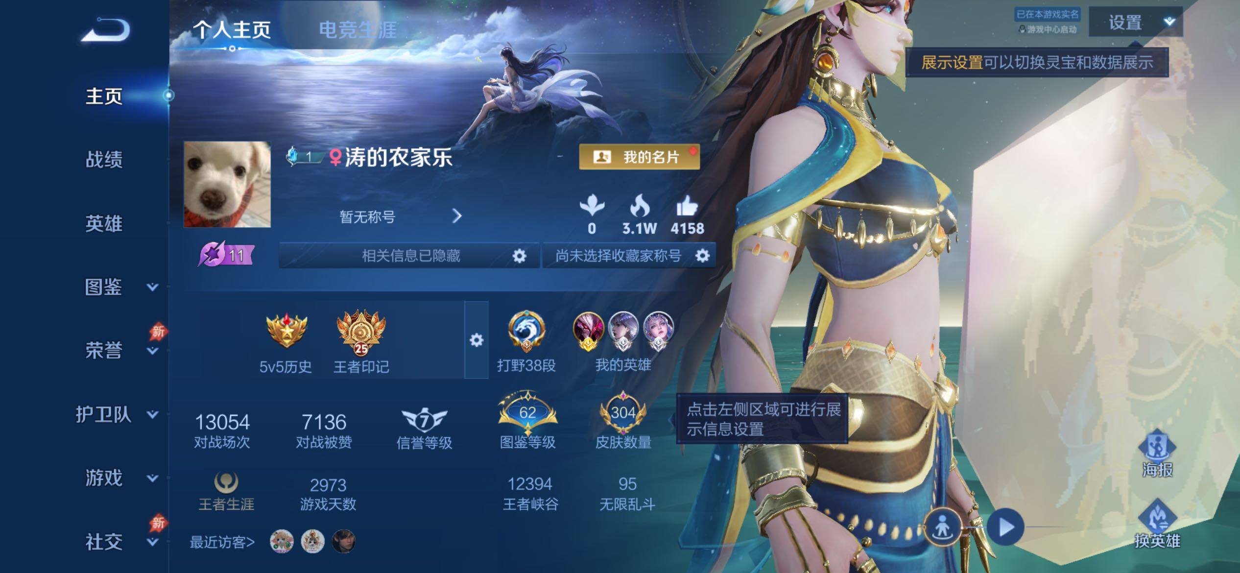 WZJM4337527王者荣耀账号详情图12