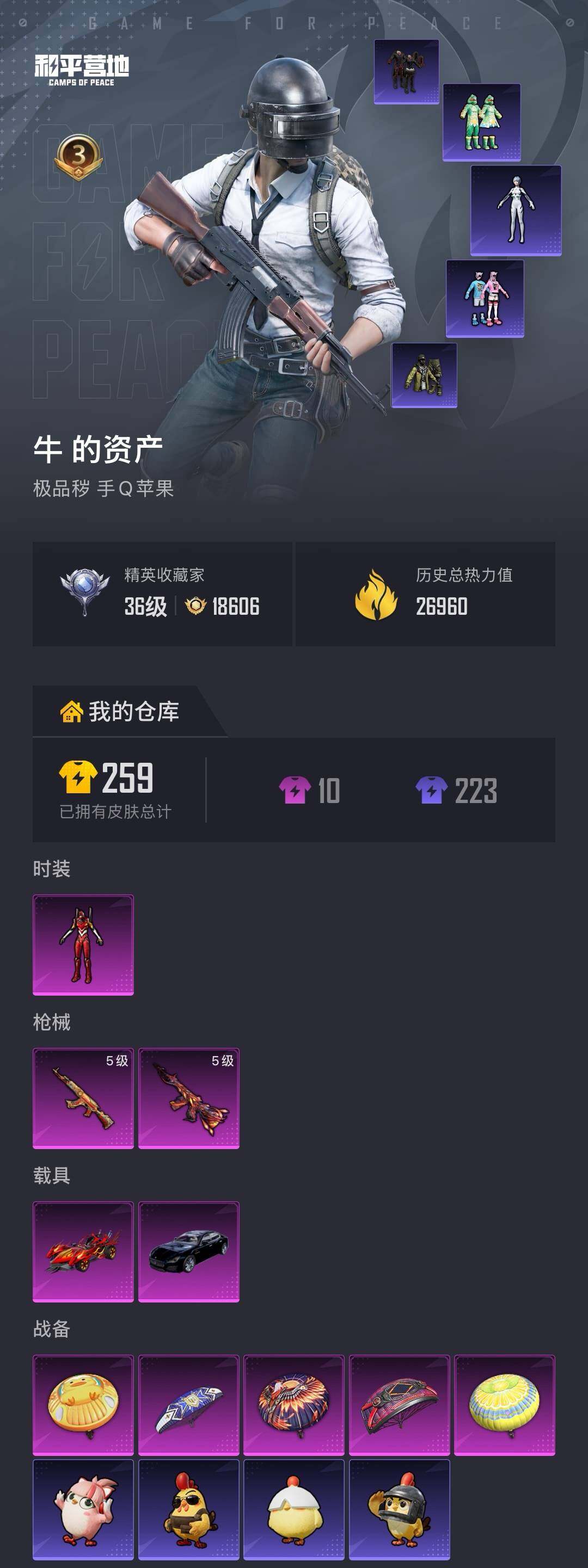 HPLX4196406和平精英账号详情图4