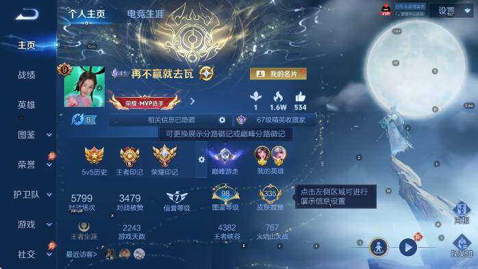 WZLX4340534王者荣耀账号详情图11