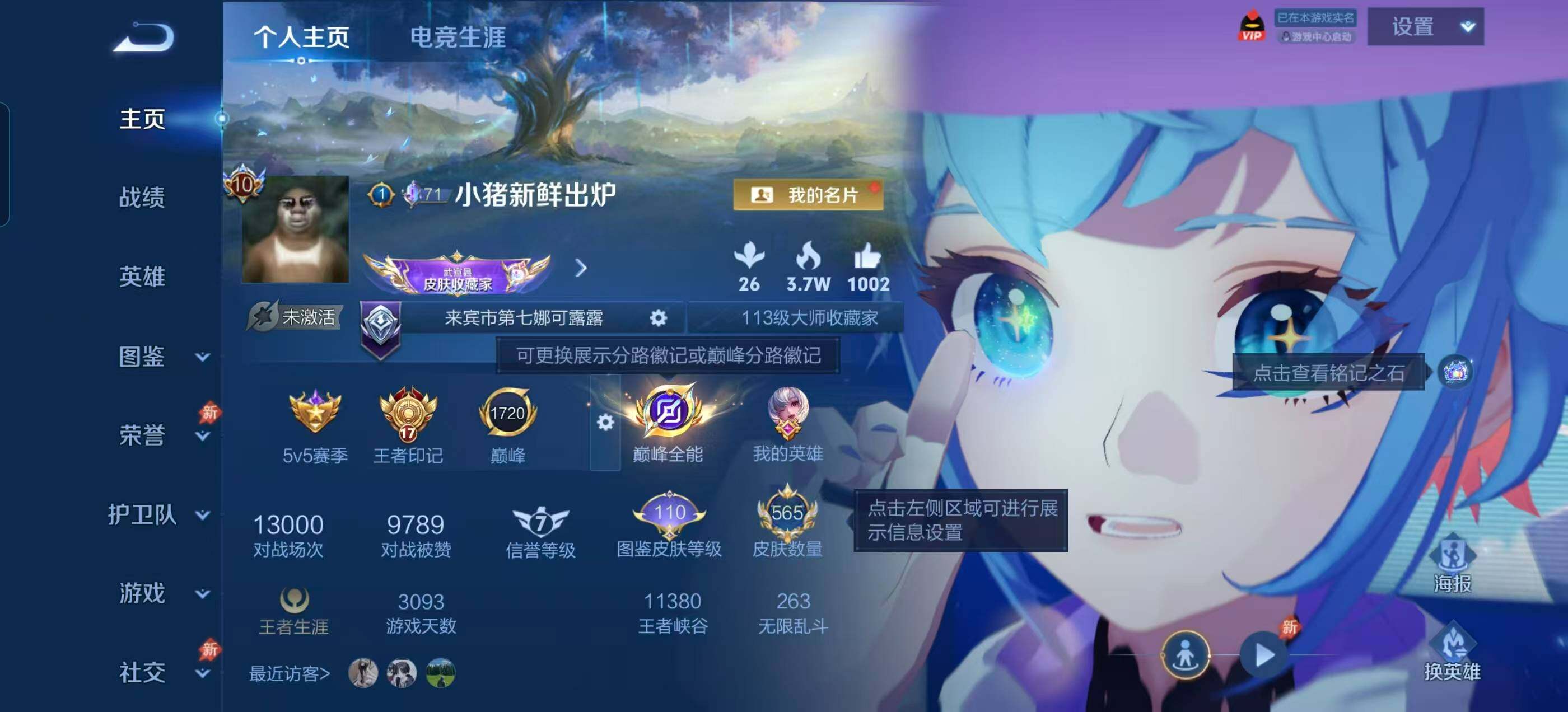 WZLX4343541王者荣耀账号详情图12