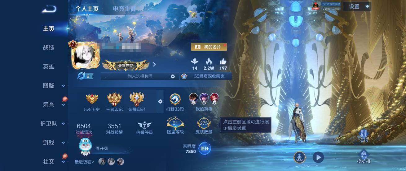 WZQM4349475王者荣耀账号详情图8