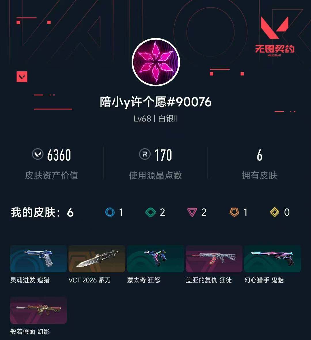 WWQXL439260无畏契约账号详情图3