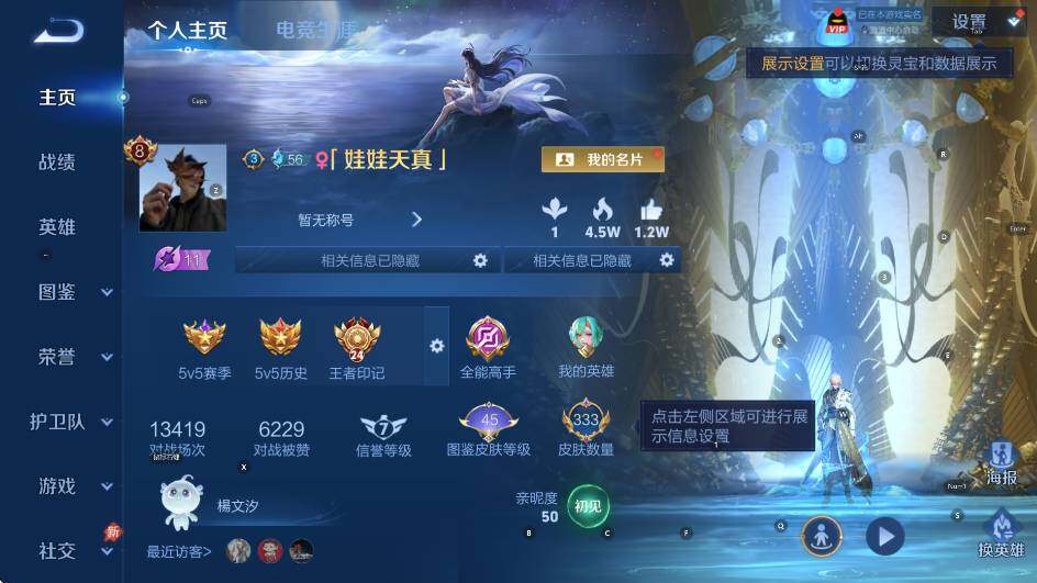 WZLX4349601王者荣耀账号详情图8