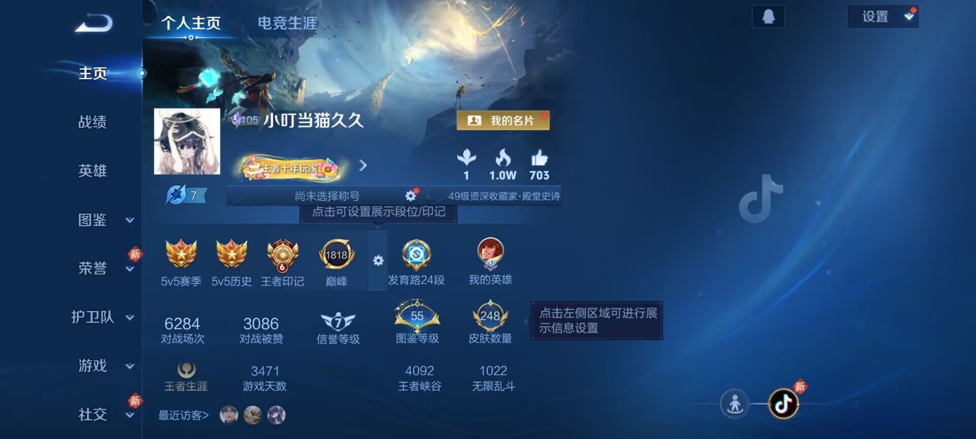 WZDN4349897王者荣耀账号详情图8