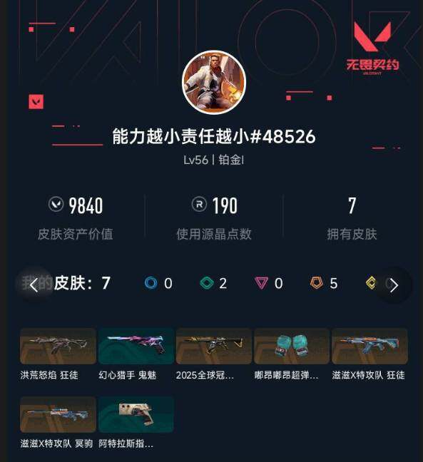 WWQXL440389无畏契约账号详情图3