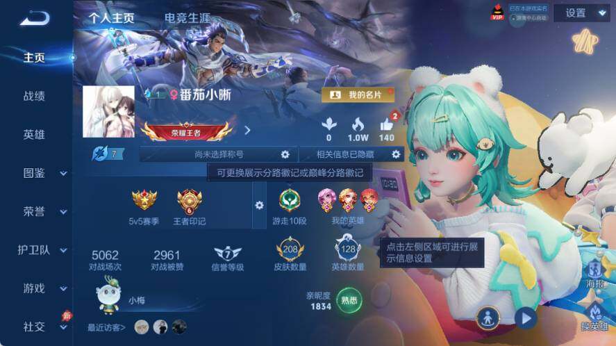 WZLX4355613王者荣耀账号详情图3