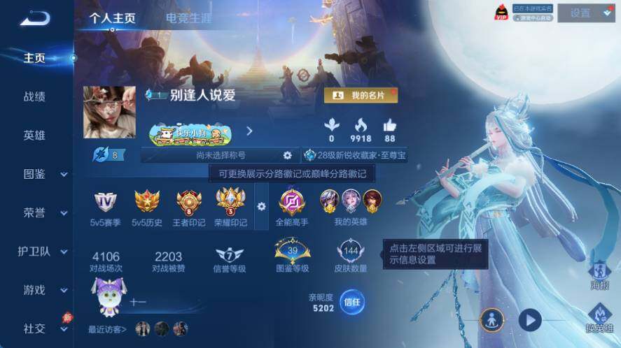 WZLX4355685王者荣耀账号详情图3
