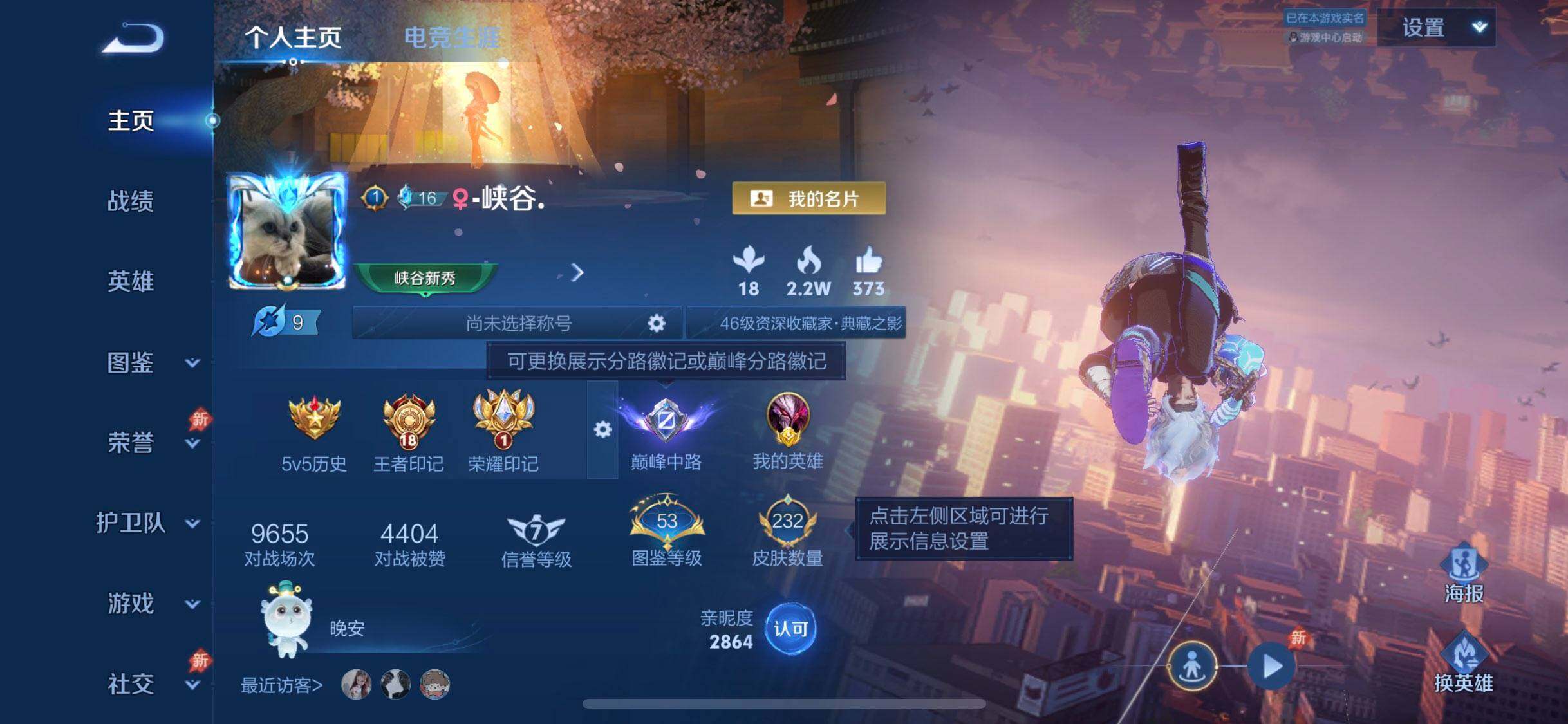 WZDN4361196王者荣耀账号详情图11