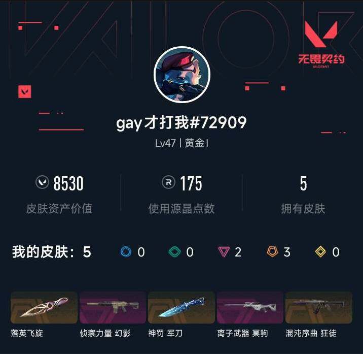 WWQXL442286无畏契约账号详情图3