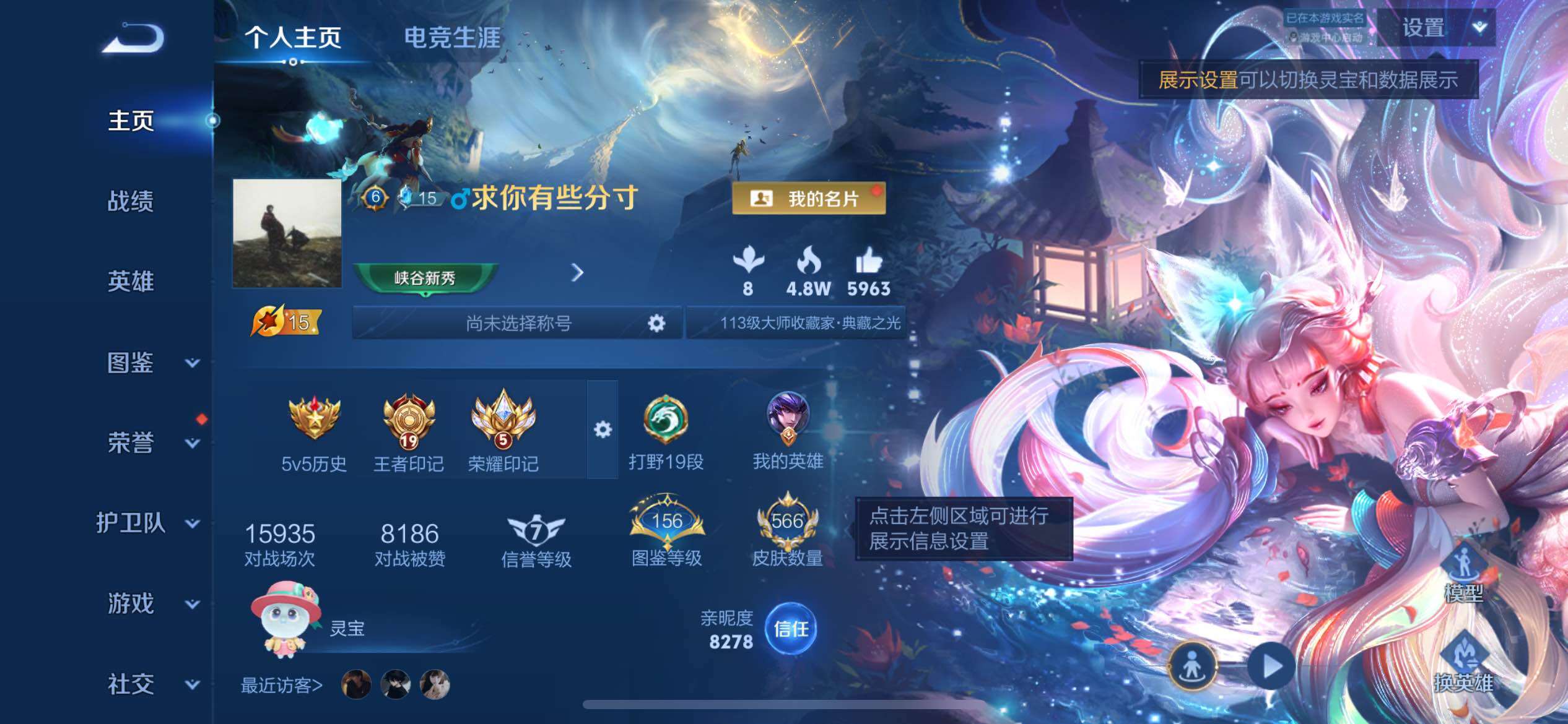WZLX4392062王者荣耀账号详情图13