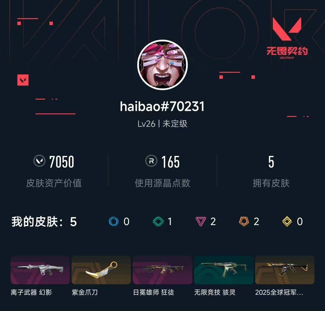 WWQXL443005无畏契约账号详情图3