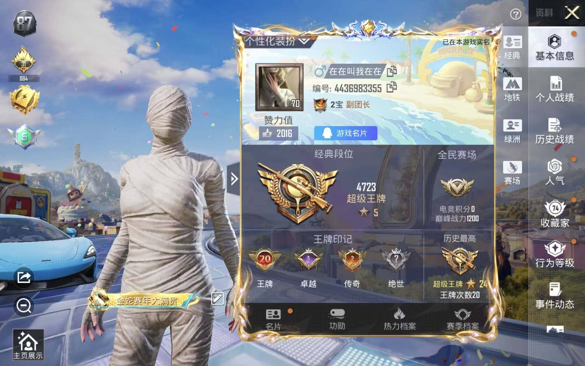 大图