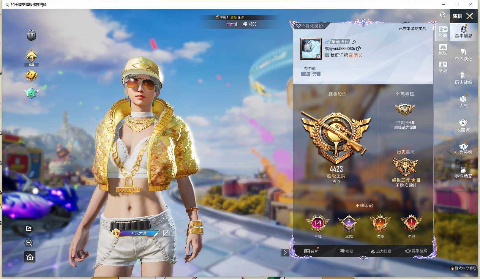 大图