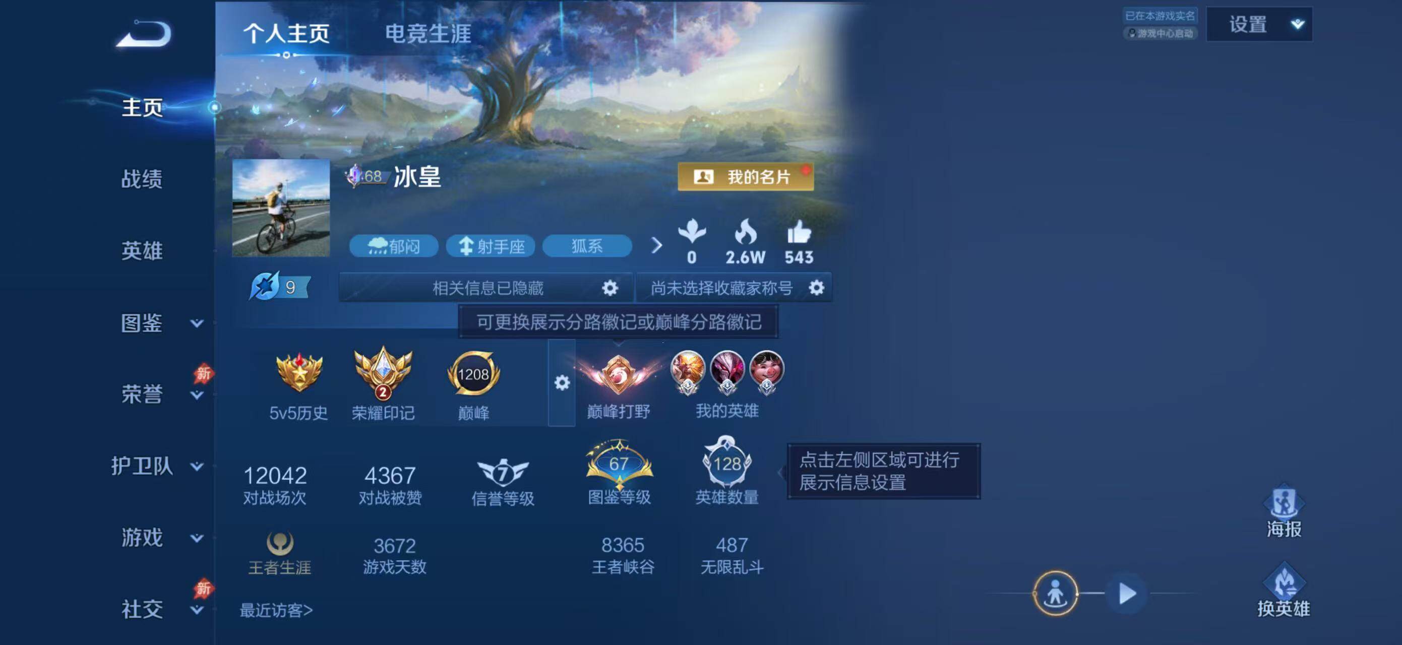 WZQM4377505王者荣耀账号详情图3 WZQM4377505王者荣耀账号详情图3